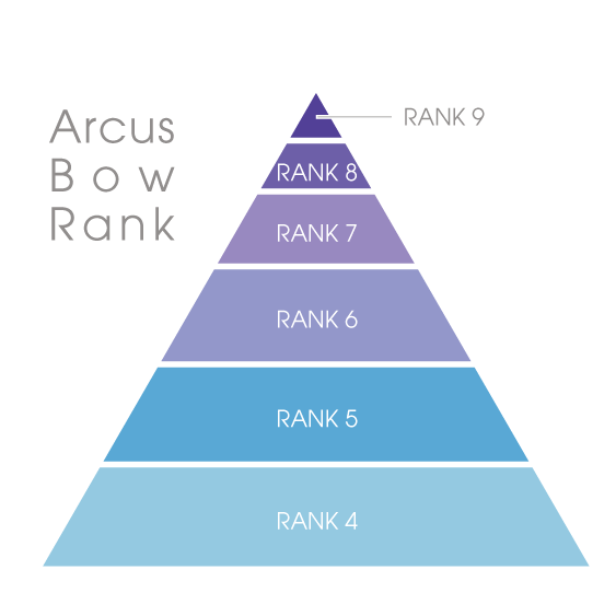 Domain Model Arcus 【2026年モデル】Arcusバイオリン・ボウ 『8G(GOLD)クラス/ T model』 | Arcus Bow TOKYO